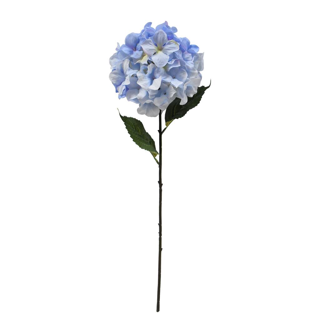 10648927_1.jpg img